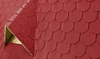 Shingle Shingle